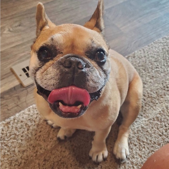 Meet your Posher, Paula - Picture 3 of 4